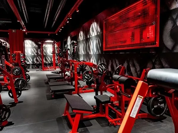 Commercial Gym