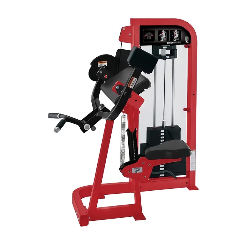 বাইসেপ কার্ল মেশিন নির্বাচন করুন